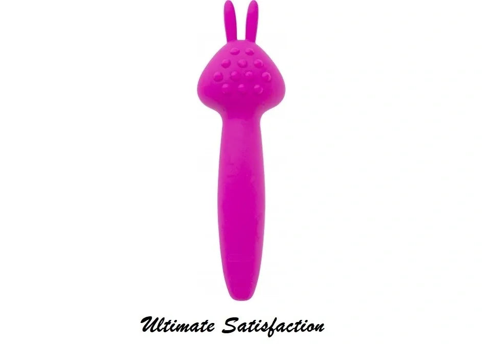 VIBEZ by Palmpower Rabbit Wand
