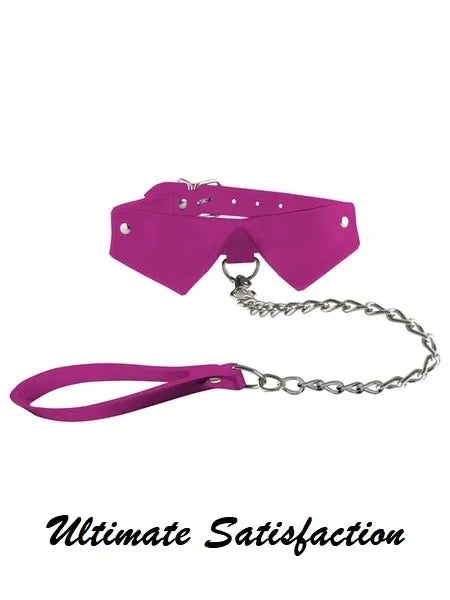 Exclusive Collar and Lead Pink