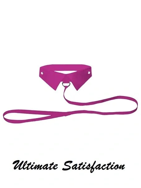 Classic Collar with lead