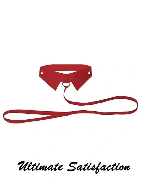 Classic Collar with lead
