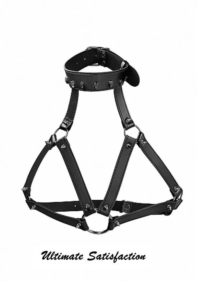 Skulls and Bones Harness with Skulls and Spikes Black Bonded Leather