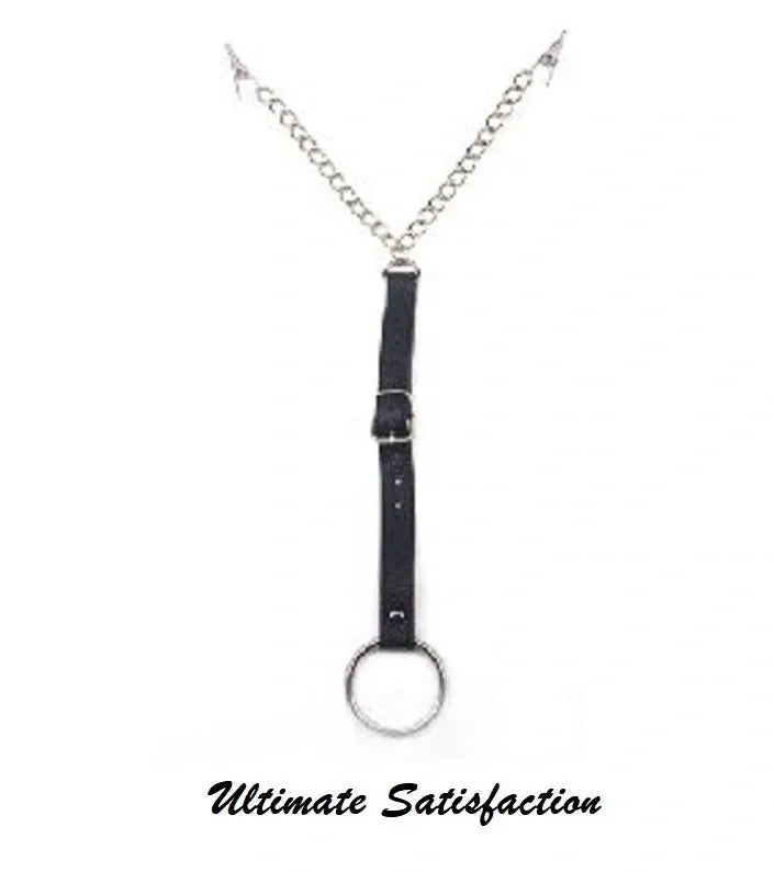 Nipple and Clit/Penis Clamps