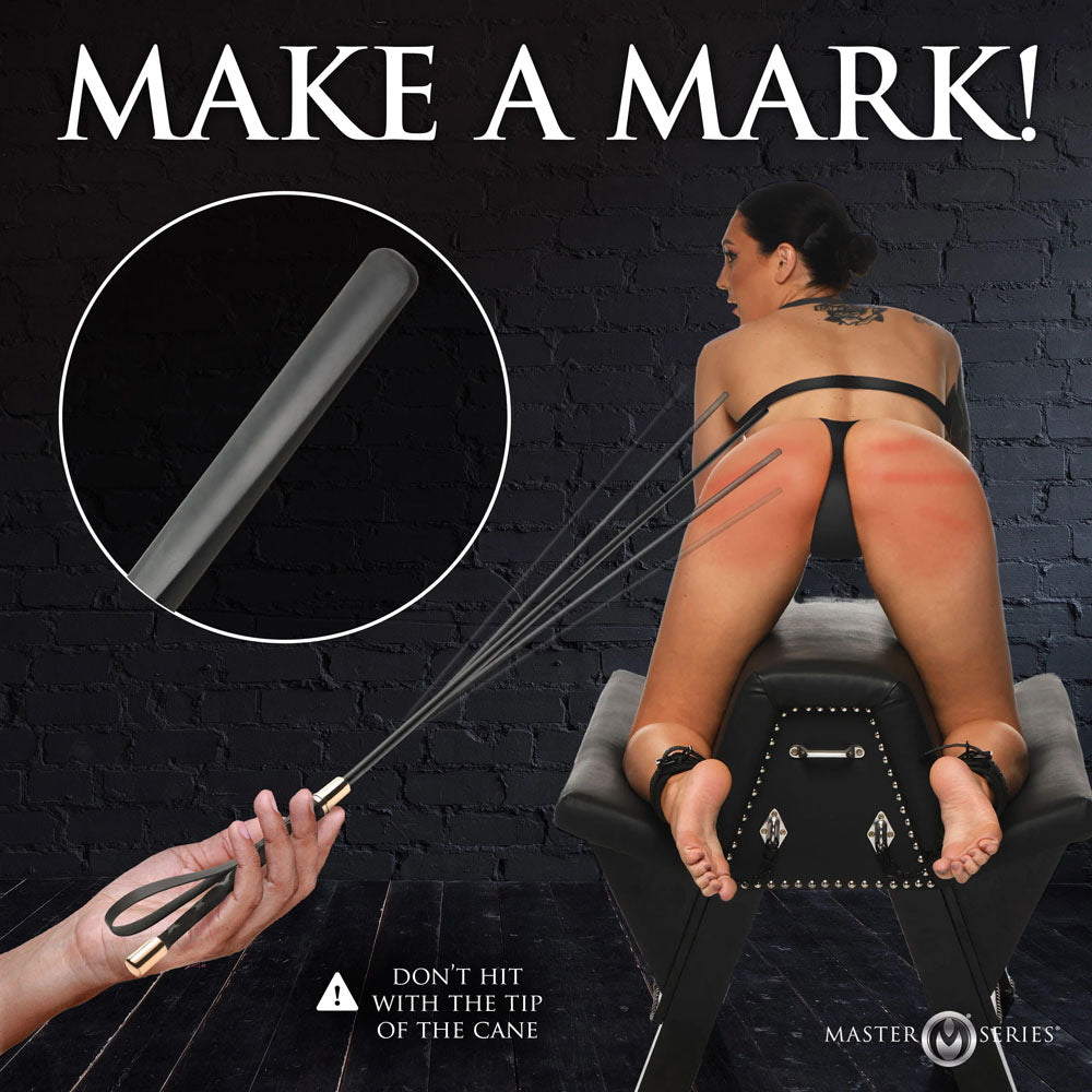 Master Series Sinful Impact Cane Black Plastic Cane Whip