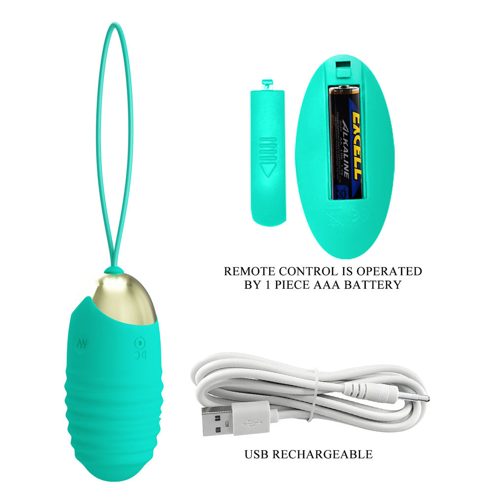Party Up Ian Remote Egg Teal Teal Usb Rechargeable Vibrating Egg With Wireless Remote