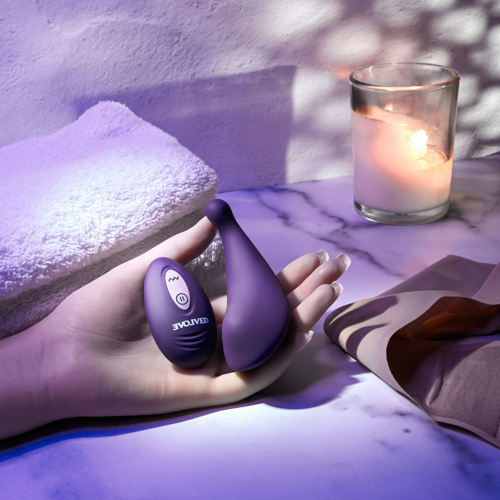 Evolved Panty Party Purple Usb Rechargeable Panty Vibrator With Remote Control
