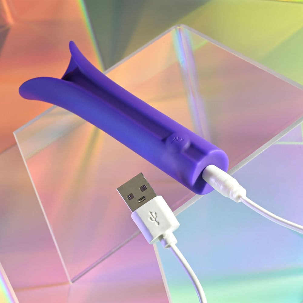 Evolved Full Coverage Purple 11.9 Cm Usb Rechargeable Bullet