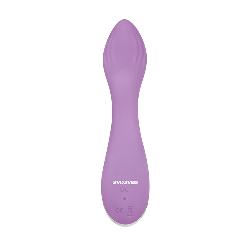 Evolved Lilac G Lilac 11.5 Cm Usb Rechargeable Mini Vibrator