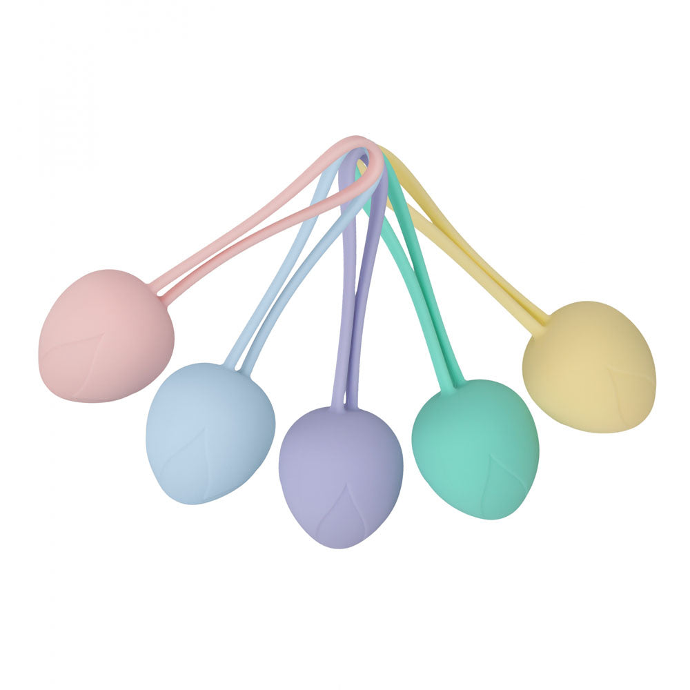 Loveline Pelvi Fit Berry Coloured Kegel Kit Set Of 5 Sizes