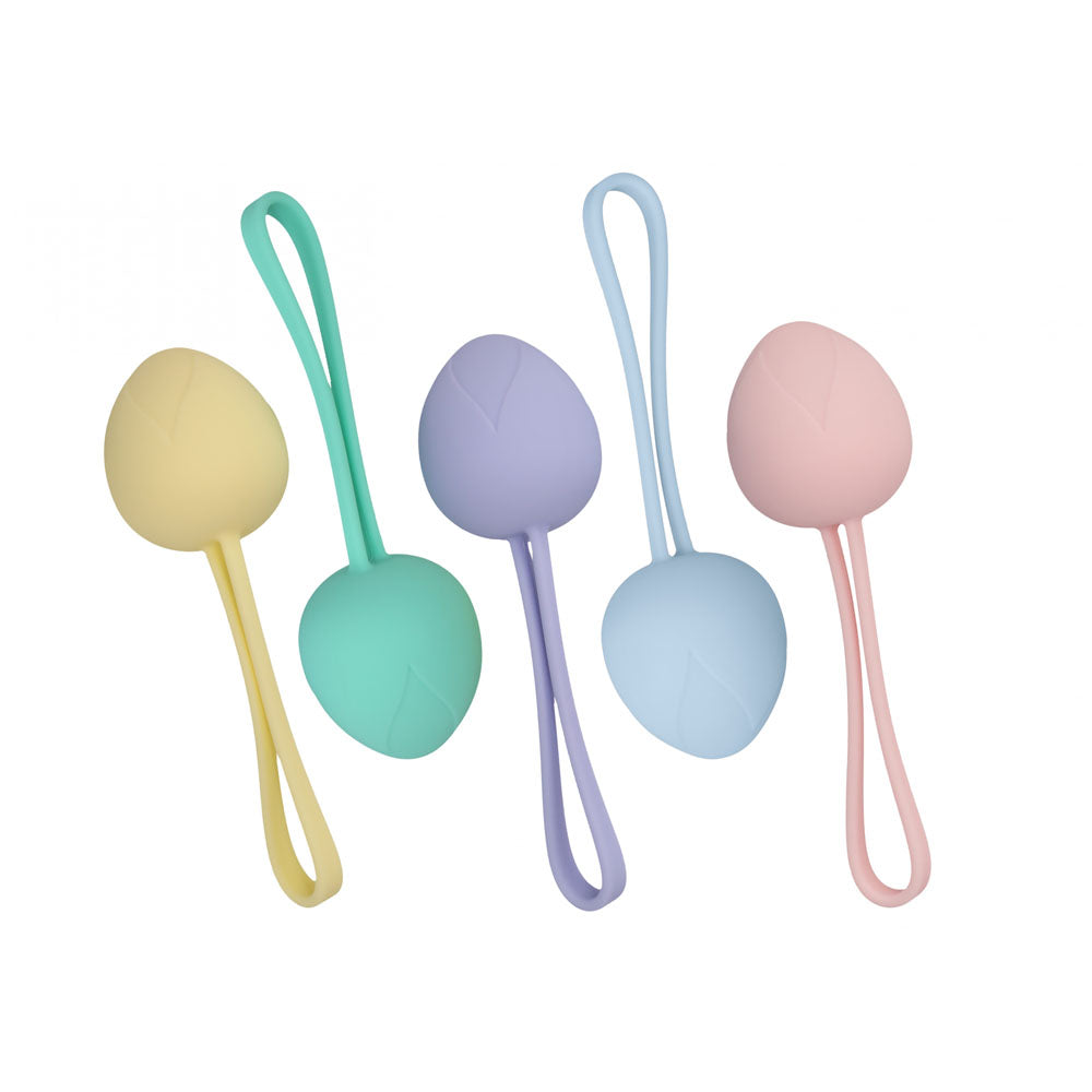 Loveline Pelvi Fit Berry Coloured Kegel Kit Set Of 5 Sizes