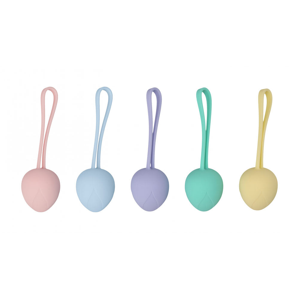 Loveline Pelvi Fit Berry Coloured Kegel Kit Set Of 5 Sizes