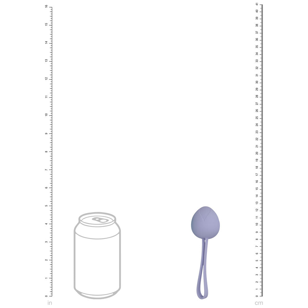 Loveline Pelvi Fit Berry Coloured Kegel Kit Set Of 5 Sizes