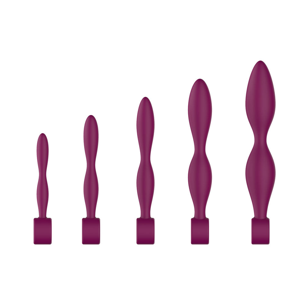 Passion Play Silicone Dilator Set Purple Dilator Kit Set Of 5 Sizes
