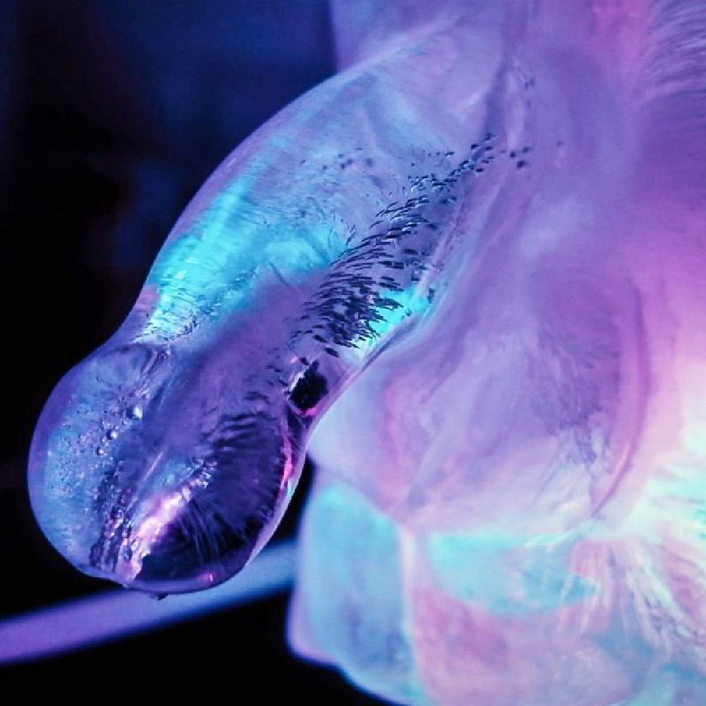 Huge Penis Ice Luge Party Novelty