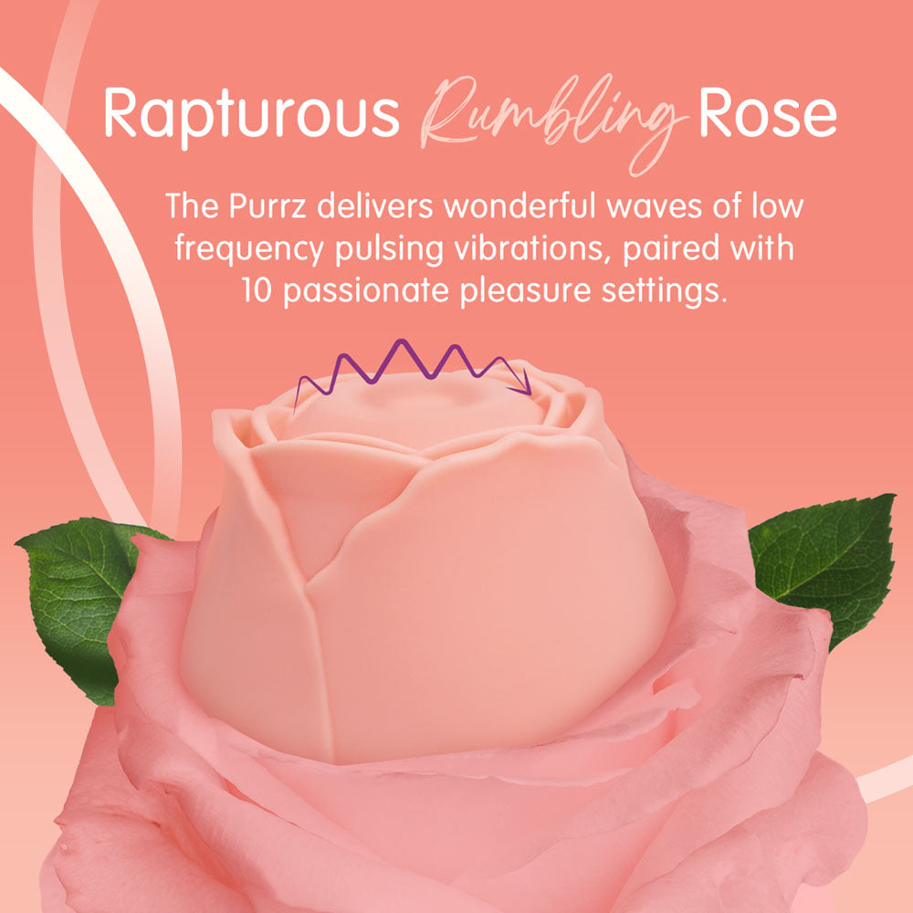 Skins Rose Buddies The Rose Purrz Light Pink Usb Rechargeable Pulsing Rose Stimulator