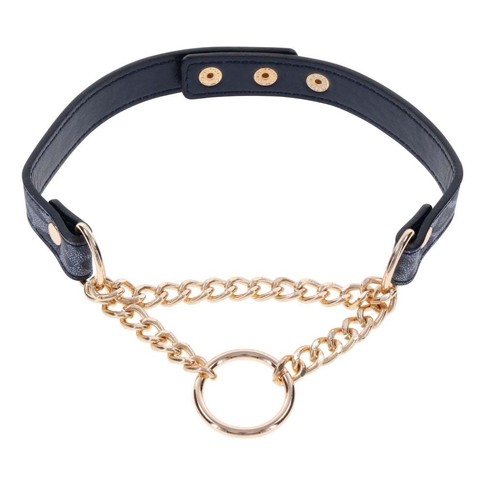 Sex & Mischief Cougar Day Collar Navy Blue/Gold Collar