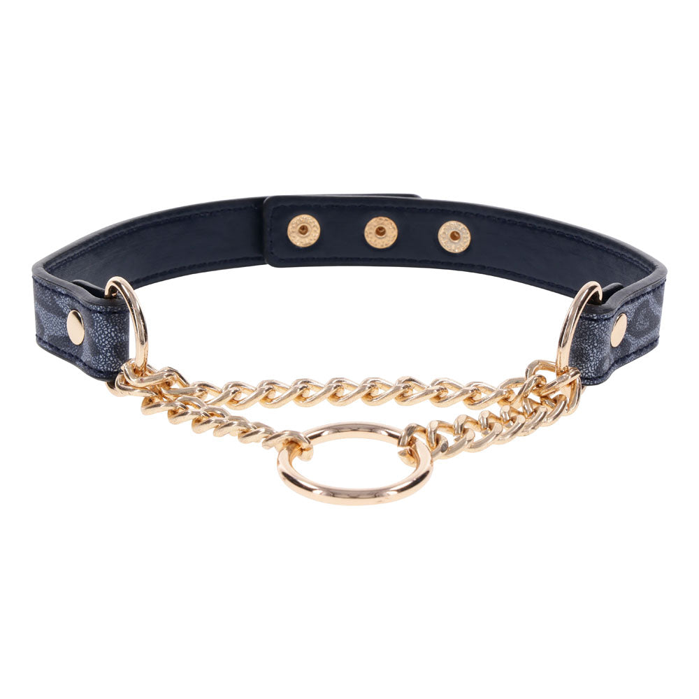 Sex & Mischief Cougar Day Collar Navy Blue/Gold Collar
