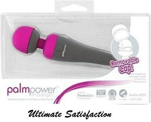 Palm Power Rechargeable/Corded