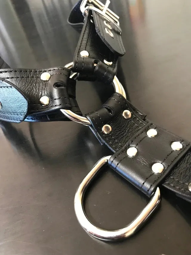 S(A)X Leather Male Harness