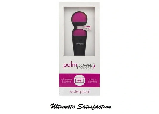 Palm Power Rechargeable/Corded