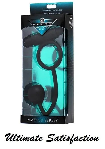 Prostatic Play Odyssey C-Ring and Prostate Plug
