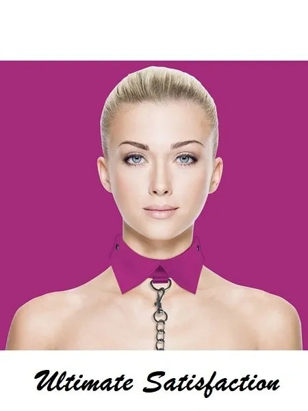 Exclusive Collar and Lead Pink