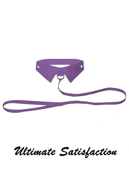 Classic Collar with lead