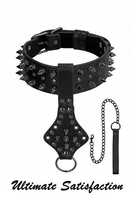 Spiked Collar and leash set