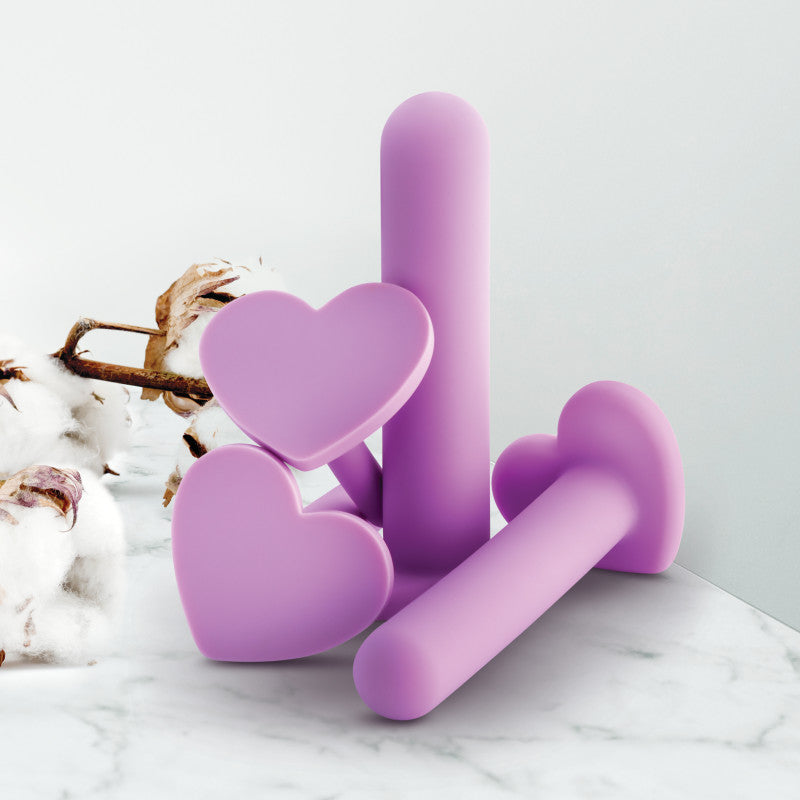 Wellness Dilator Kit Purple Vaginal Dilators Set Of 4 Sizes
