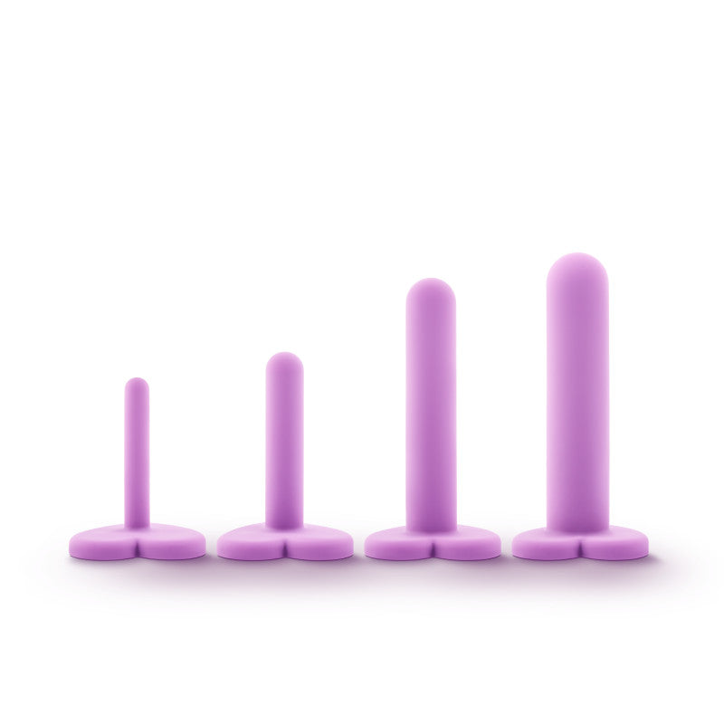 Wellness Dilator Kit Purple Vaginal Dilators Set Of 4 Sizes