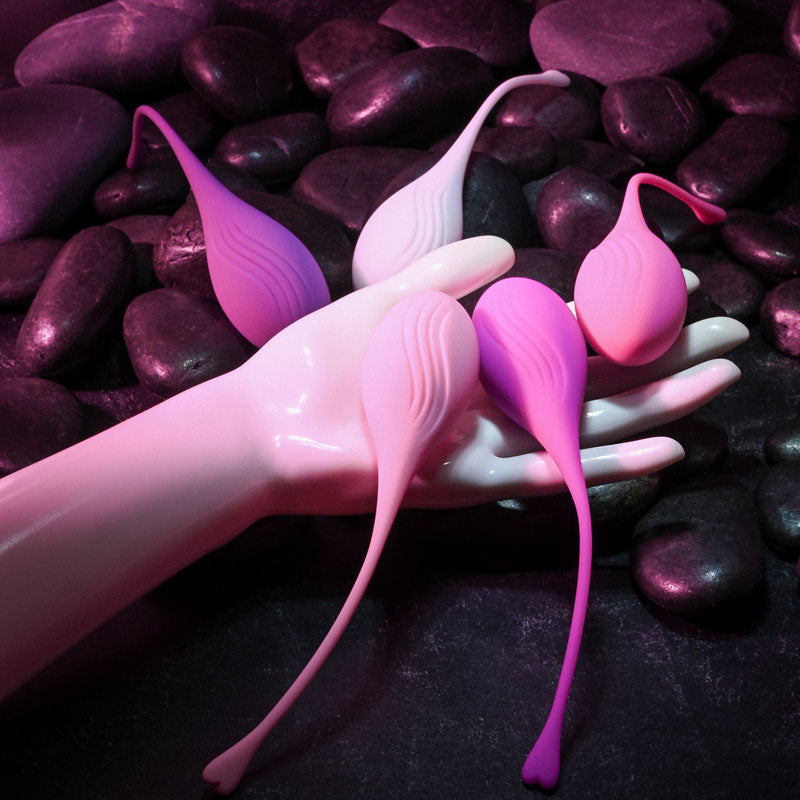 Evolved Tight & Delight Kegel Trainer Set 5 Piece Kit