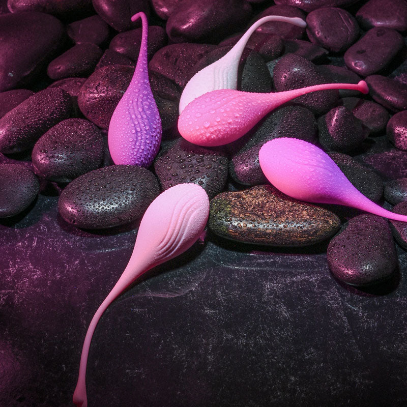 Evolved Tight & Delight Kegel Trainer Set 5 Piece Kit