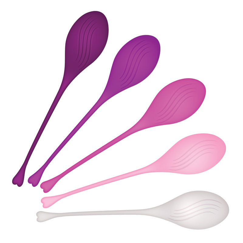 Evolved Tight & Delight Kegel Trainer Set 5 Piece Kit