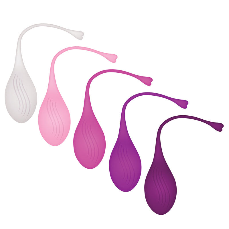 Evolved Tight & Delight Kegel Trainer Set 5 Piece Kit