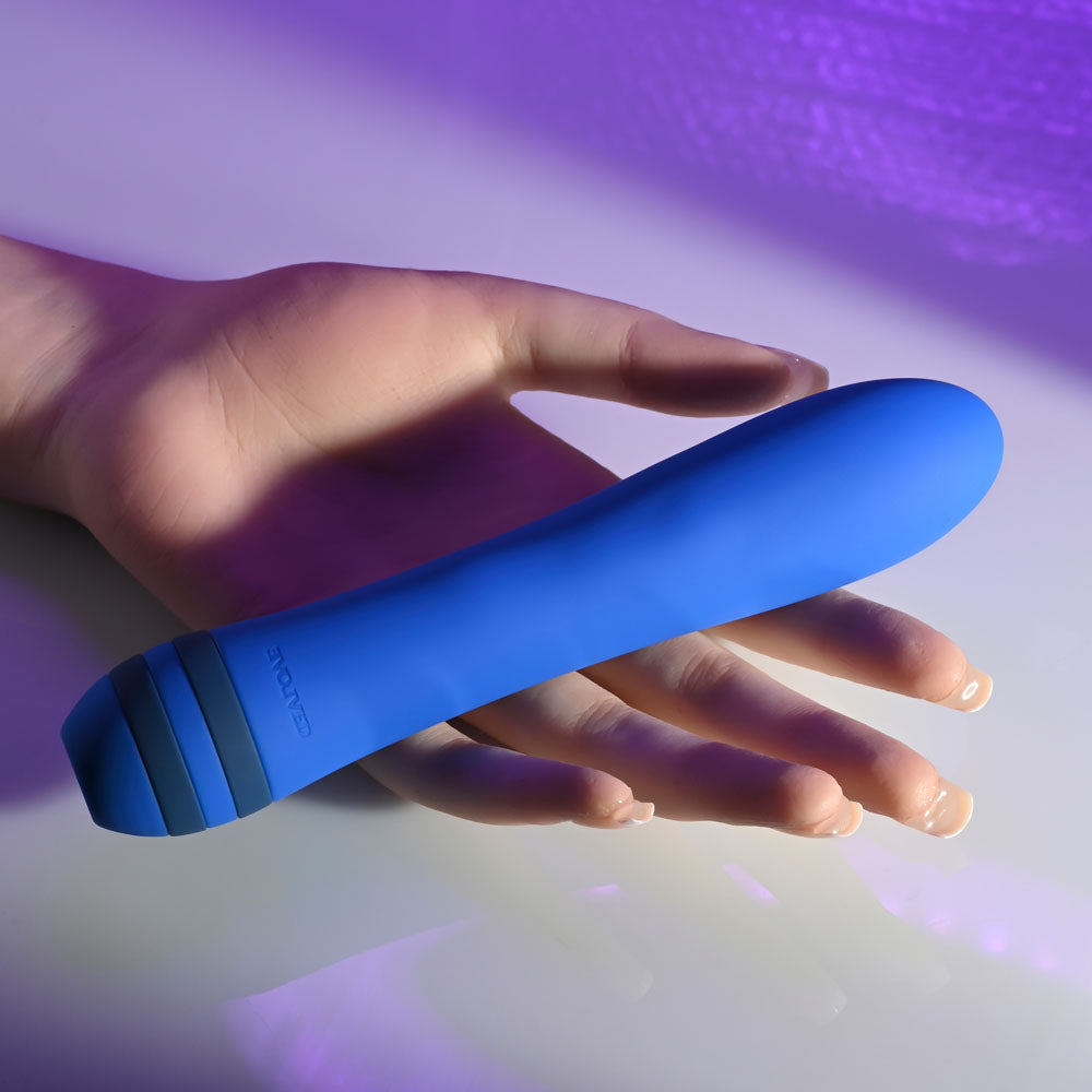 Evolved The Pleaser Blue 16.5 Cm Usb Rechargeable Vibrator