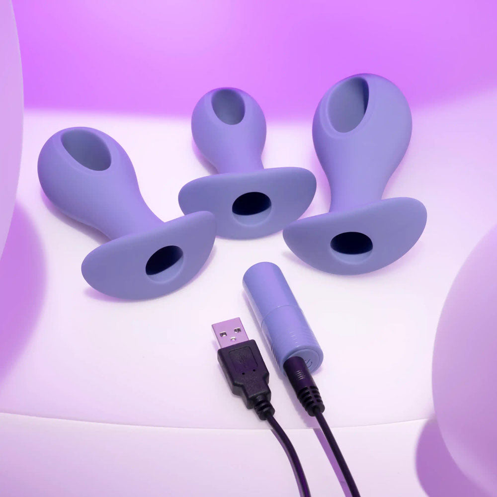 Evolved Hole Punch Plug Set Purple Butt Plugs With Interchangeable Bullet Set Of 3 Sizes
