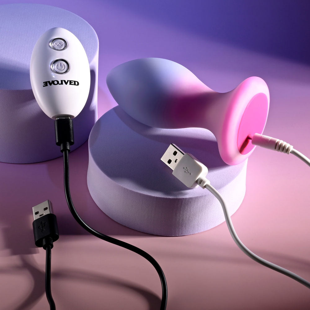 Evolved Paradise Plug Pink/Purple 10.5 Cm Usb Rechargeable Vibrating Butt Plug With Wireless Remote