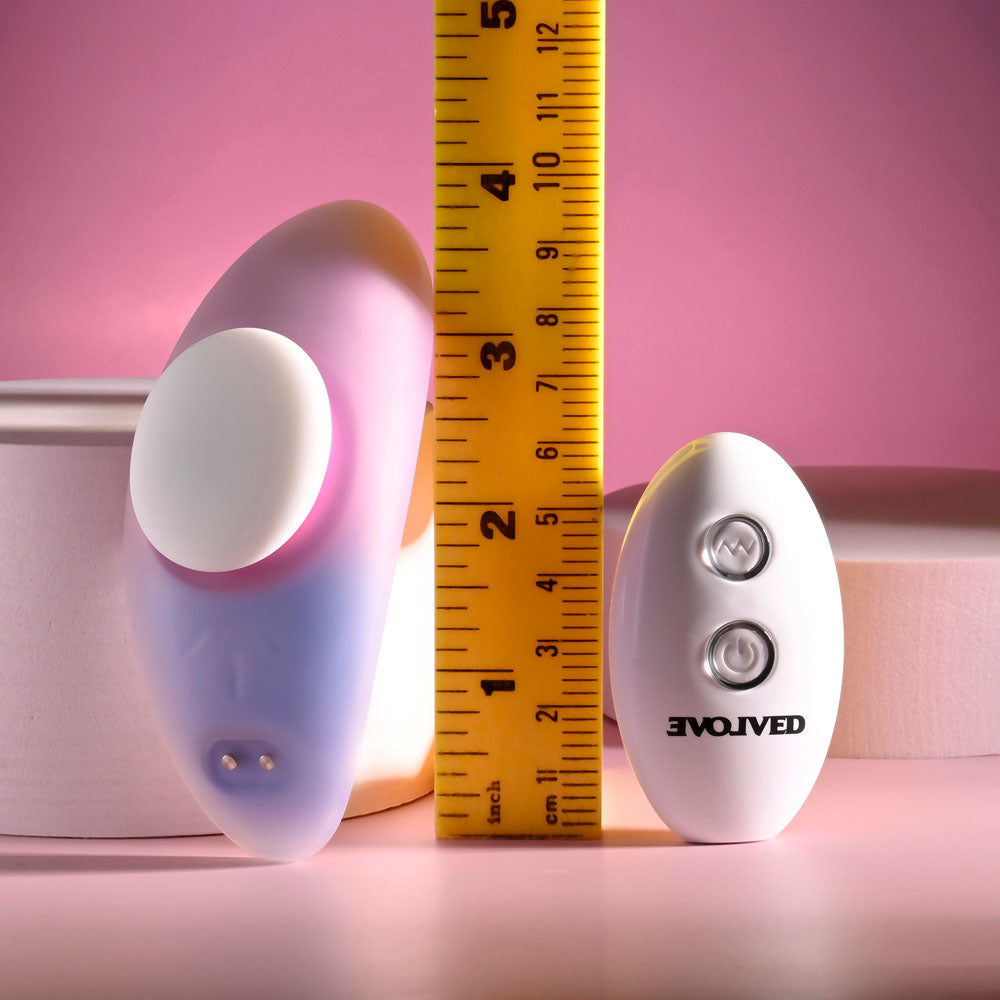 Evolved Paradise Panty Pink/Purple Usb Rechargeable Panty Vibrator With Remote Control