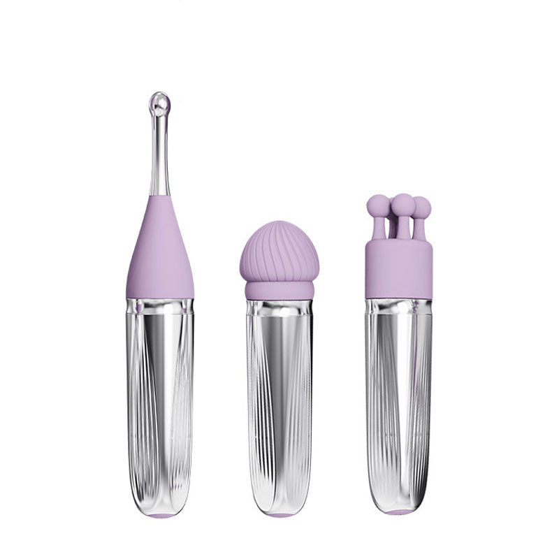 Adam & Eve Sweet Dreams Massager Kit Lavender Usb Rechargeable Point Stimulator With 8 Interchangeable Tips