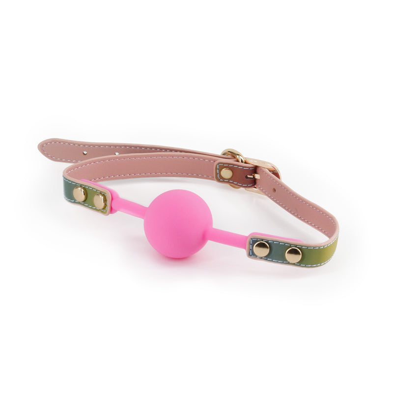 Spectra Bondage Ballgag Rainbow Rainbow Mouth Restraint
