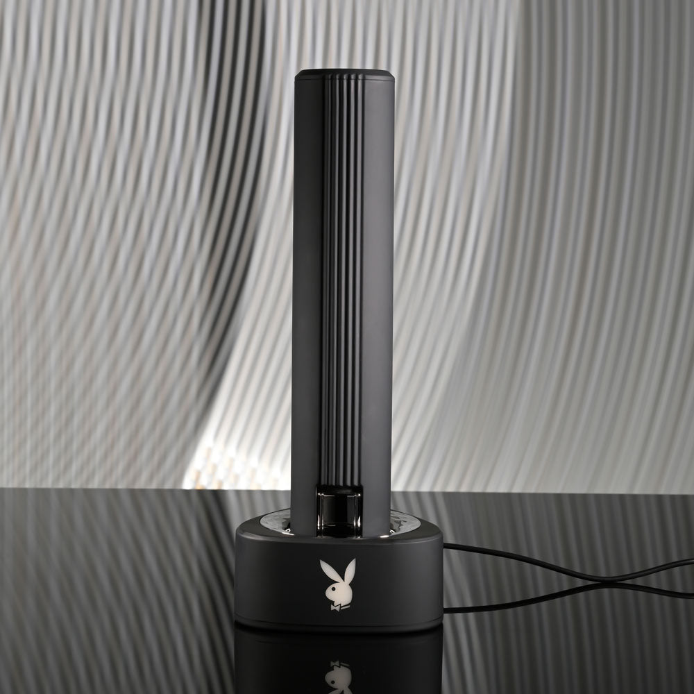 Playboy Pleasure Pleasure Zone Black 21.4 Cm Rechargeable Vibrator With Usb Charging Dock