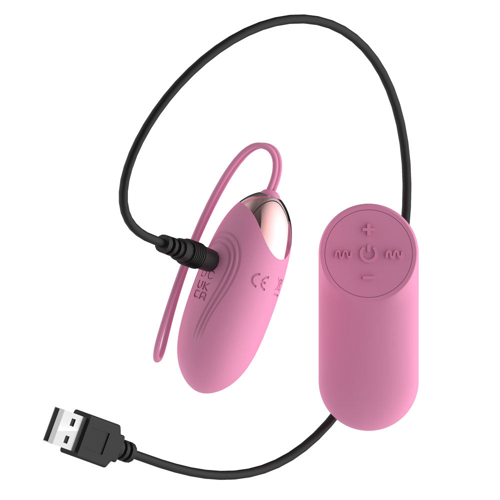 Passion Play Silicone Vibrating Egg Small Pink Usb Rechargeable Vibrating Egg With Wireless Remote