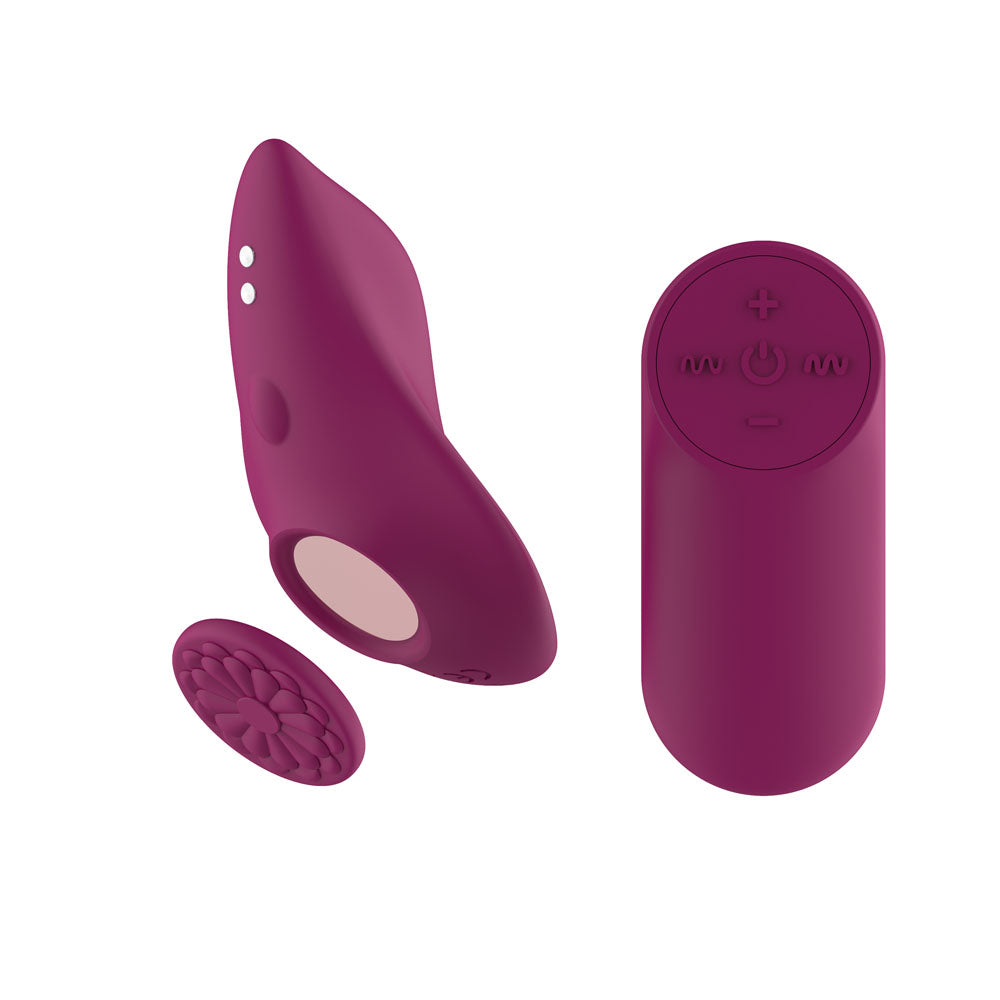 Passion Play Magnet Panty Vibe With Remote Purple Usb Rechargeable Panty Vibrator With Wireless Remote Control