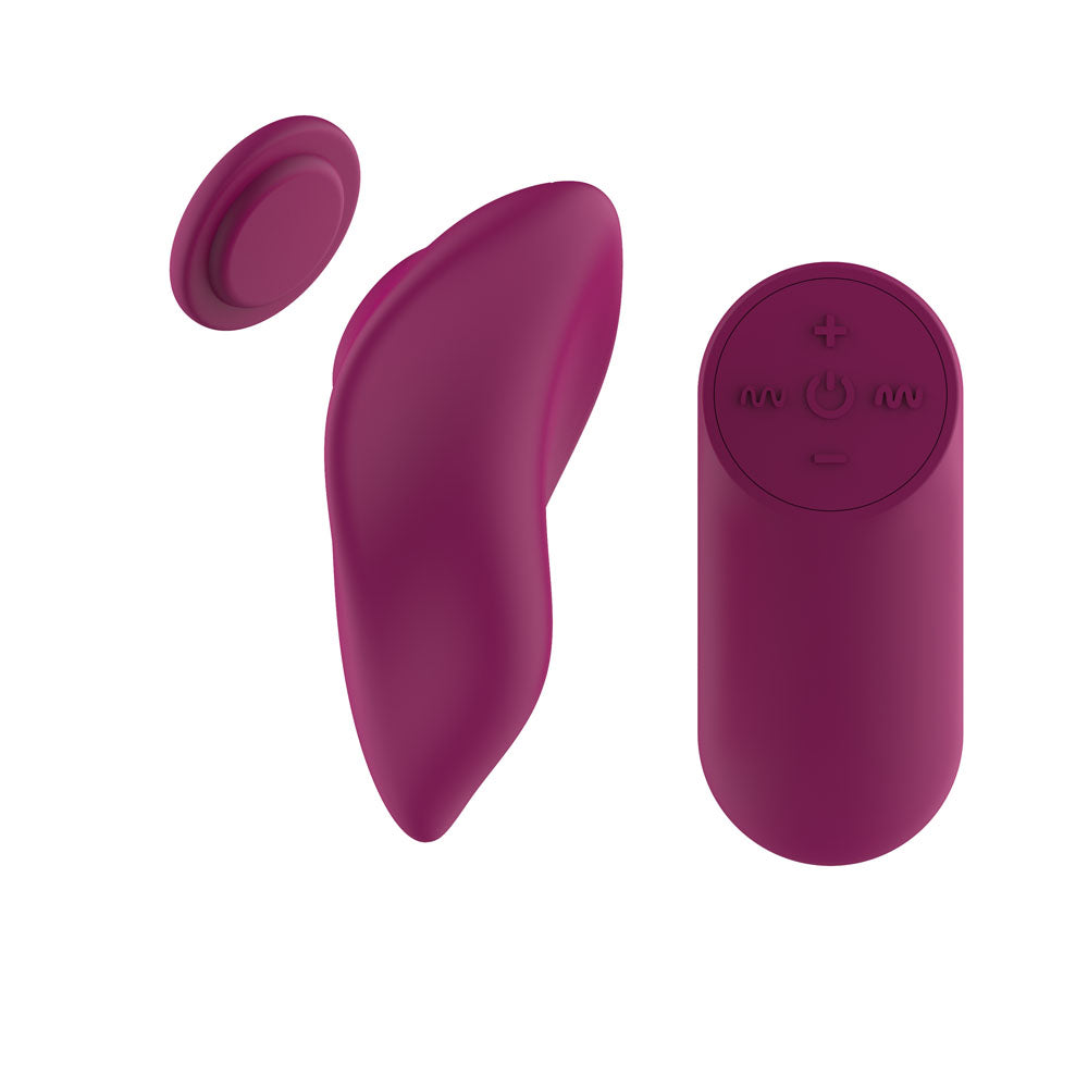 Passion Play Magnet Panty Vibe With Remote Purple Usb Rechargeable Panty Vibrator With Wireless Remote Control
