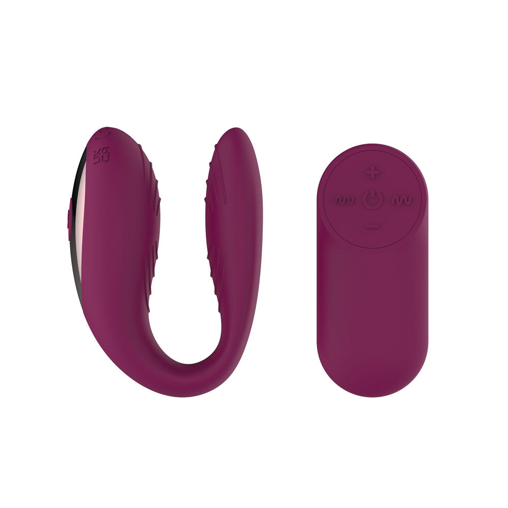 Passion Play Couple Vibe With Remote Controller Purple Usb Rechargeable Couples Vibrator With Wireless Remote