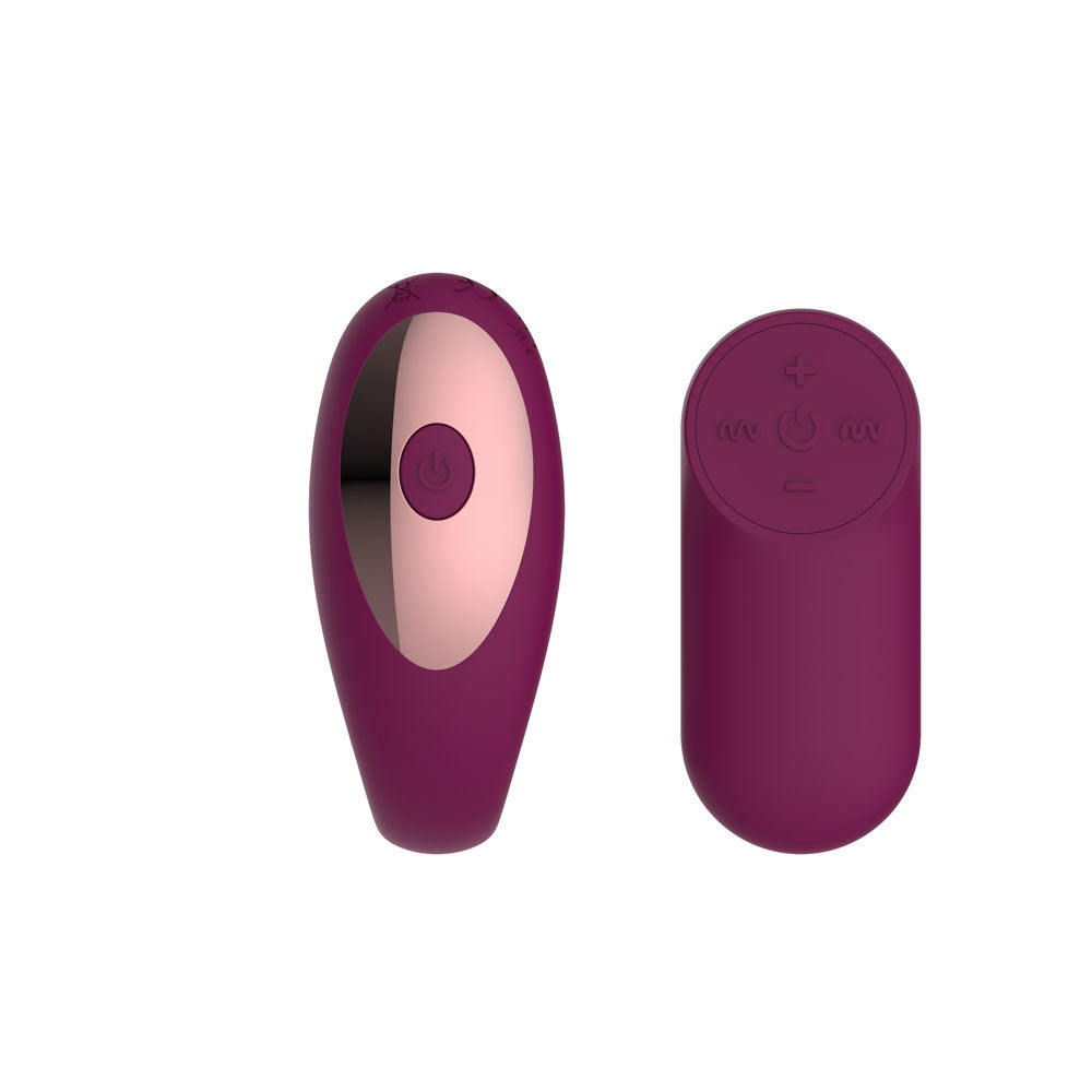 Passion Play Couple Vibe With Remote Controller Purple Usb Rechargeable Couples Vibrator With Wireless Remote