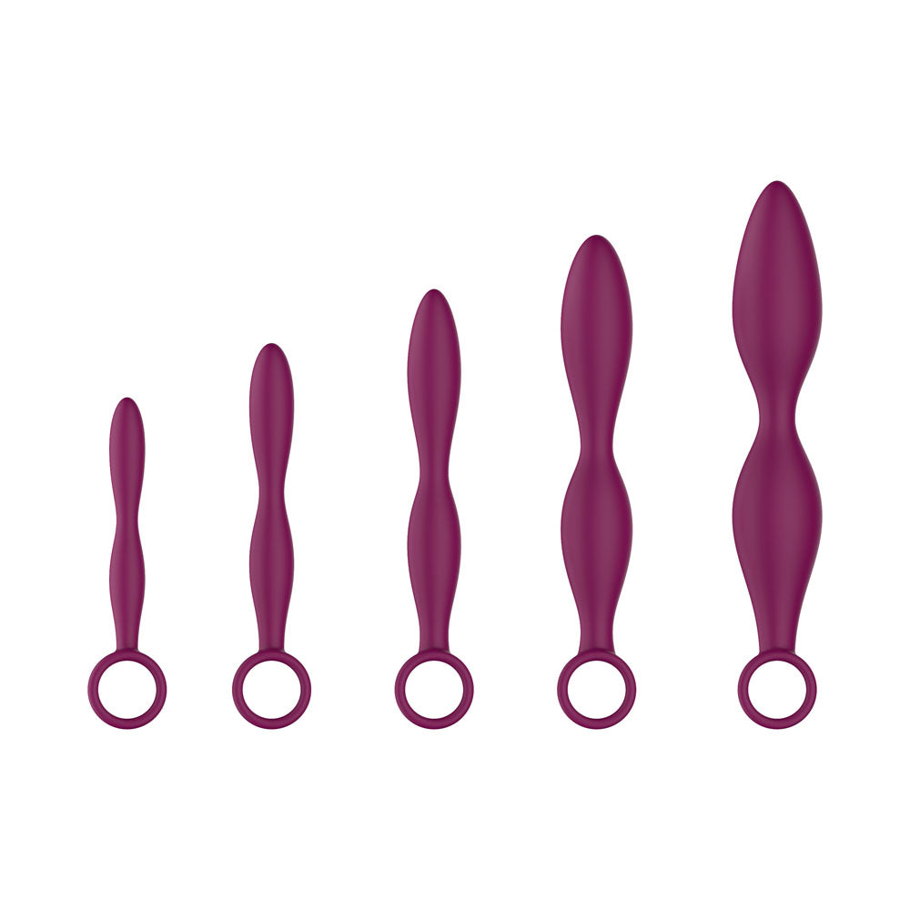 Passion Play Silicone Dilator Set Purple Dilator Kit Set Of 5 Sizes