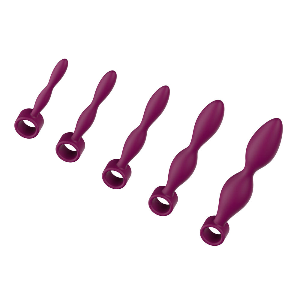 Passion Play Silicone Dilator Set Purple Dilator Kit Set Of 5 Sizes