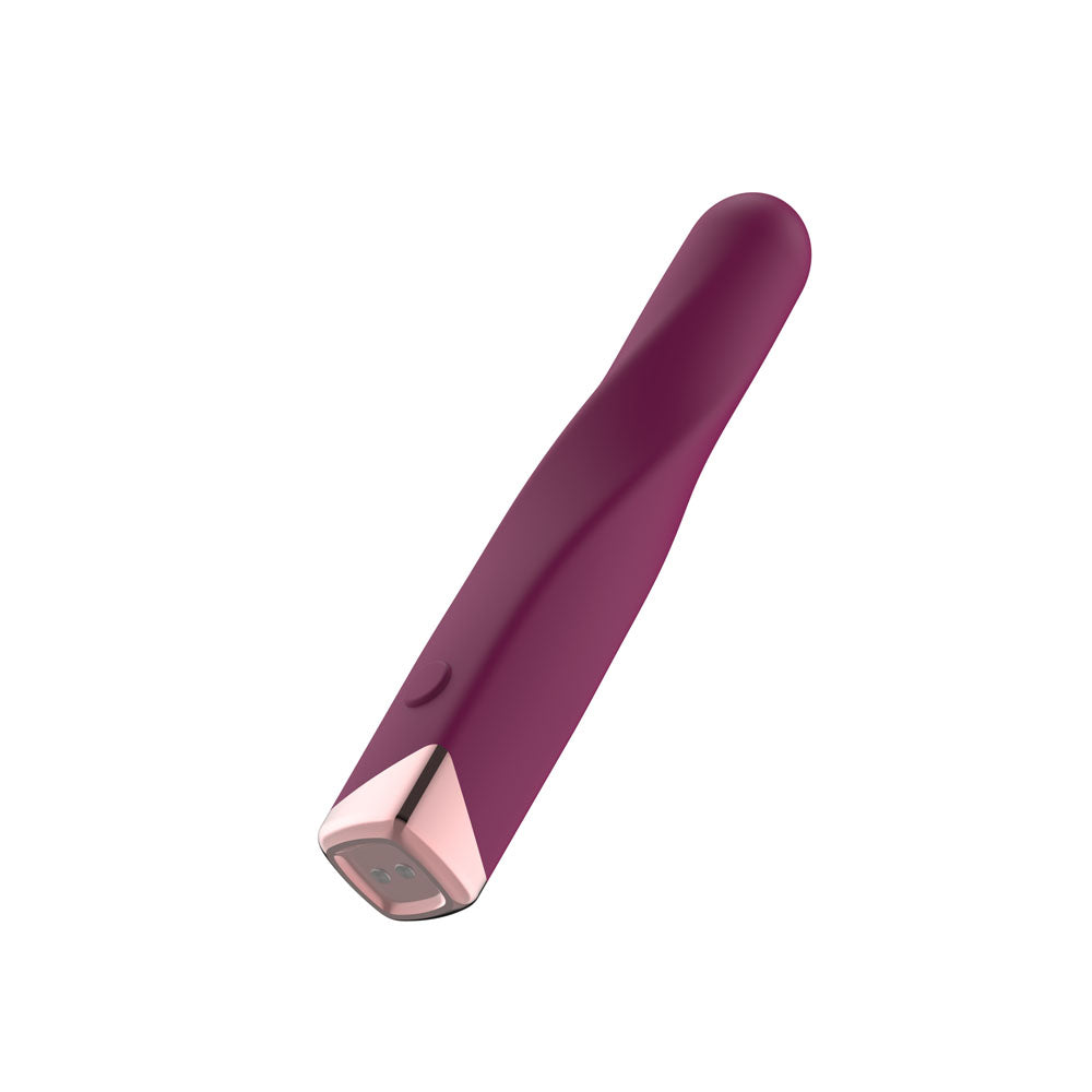 Passion Play Rechargeable Vibrating Bullet Purple Purple 12 Cm Usb Rechargeable Vibrating Bullet