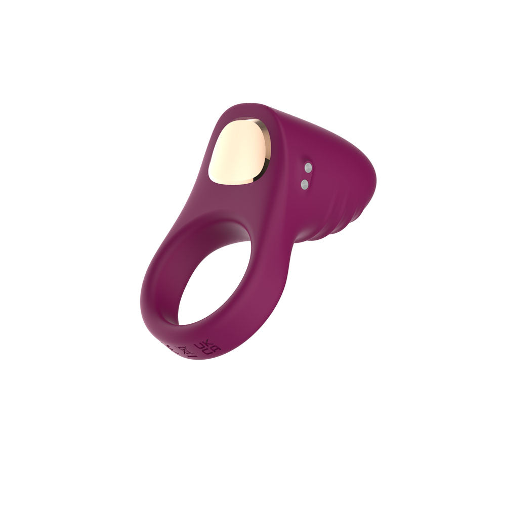 Passion Play Silicone Vibrating Cockring Purple Usb Rechargeable Penis Ring