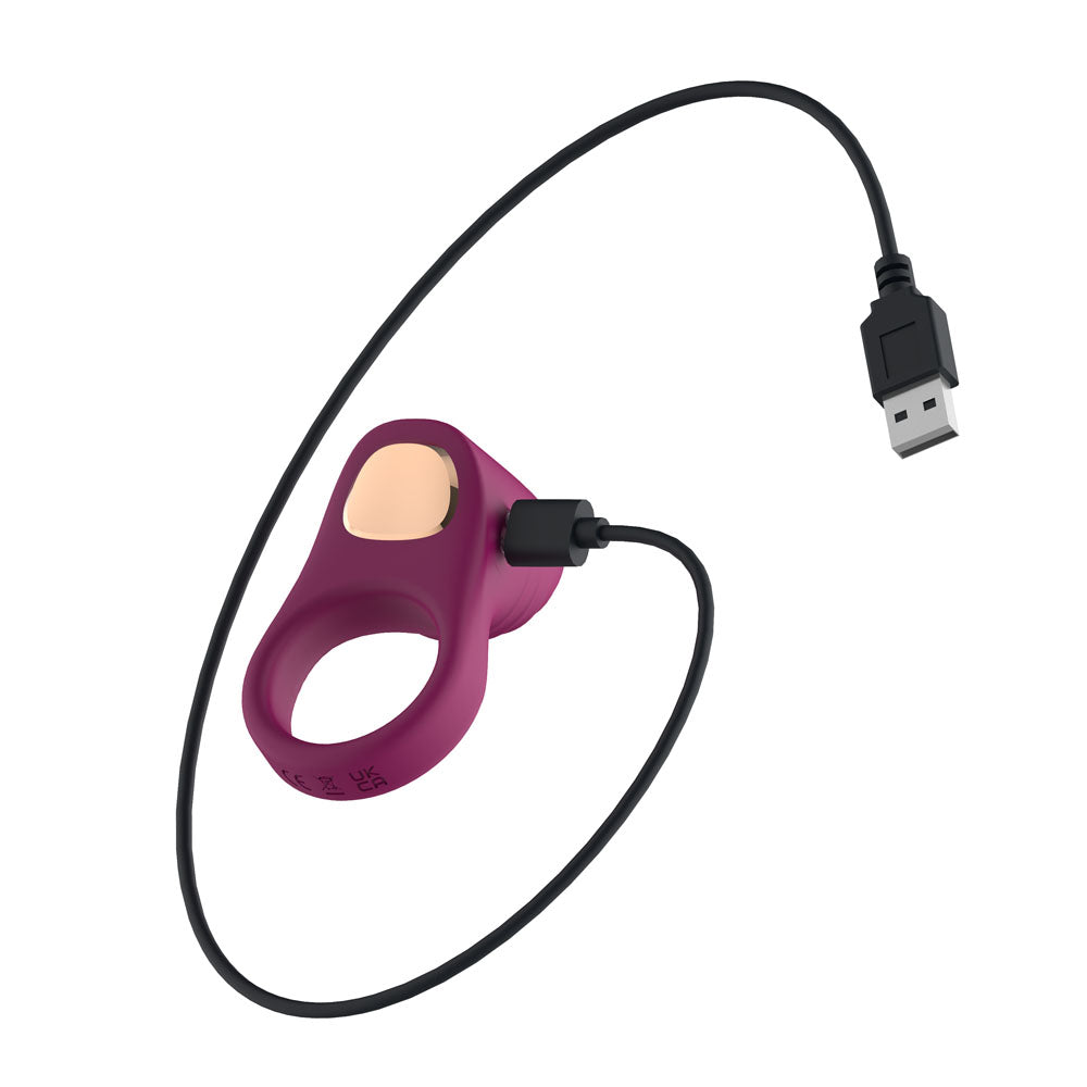 Passion Play Silicone Vibrating Cockring Purple Usb Rechargeable Penis Ring